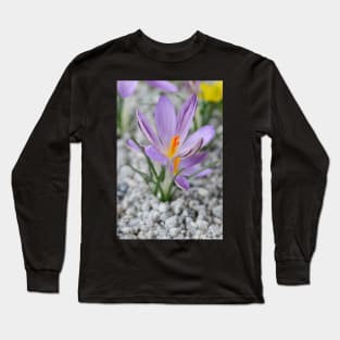 Crocus corsicus  AGM	  Corsican crocus Long Sleeve T-Shirt